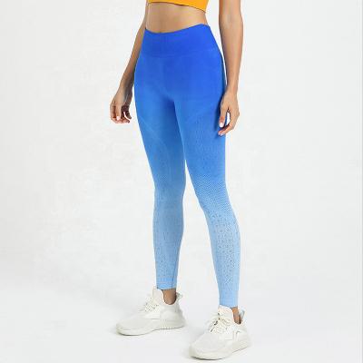 China Color Breathable Fitness Gradient Seamless Women Yoga Pants High Waist Womens Gym Running Hollow Out Legging Butt Lift Sports Gaiters for sale