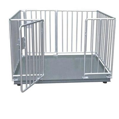 中国 Hot Selling Cheap Custom Cheap Digital Cattle Steel Hog Scale For Cattle 販売のため