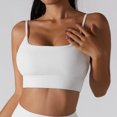 China Sports Breathable Seamless Ribbed Bra With Adjustable Strap Backless Gym Fitness Bra for sale