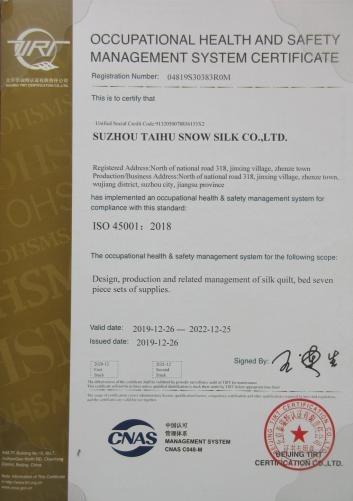 ISO9001 - Suzhou Taihu Snow Silk Co., Ltd.