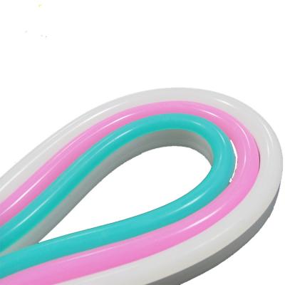 China Advertising 2022 DC12V garden neon neon silicone landscape neon sign letters cuttable led strip lights for letter decoration lighting for sale