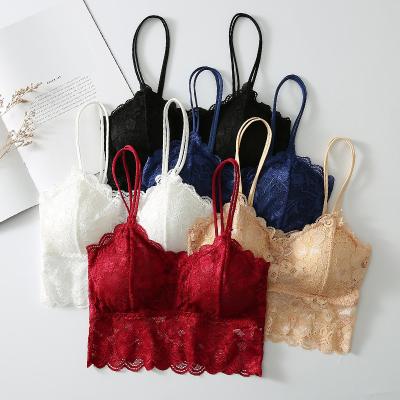 China Beautiful QUICK DRY Underwear Solid Color Women's Lace Push Up Bras Set For Females Set for sale