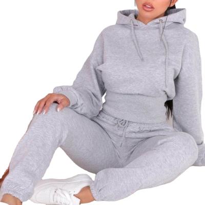 China Factory new winter style high quality 460gsm two-piece hoodie leisure QUICK-DRY wholesale suit for sale