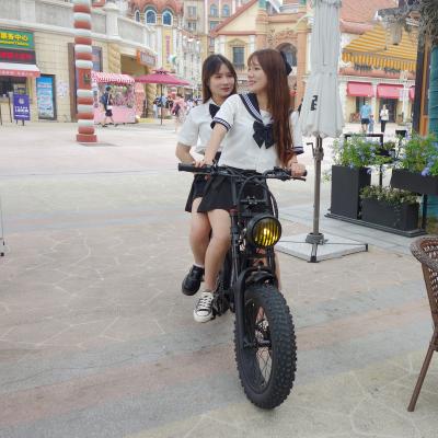 China Fat alloy LVCO 48v 750w 1000w beach bicycle aluminum e bike/ebike/electric bicycle sale for sale