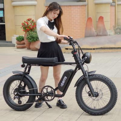 China Multifunctional Hot Selling Electric Bicycle 20x4 20inch Tire Ebike Fat Tire 1000w ebikes 500w Retro Fat Ebikes for sale