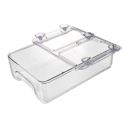 China Various Designs Traditional Sundries Wholesale Fridge Storage Save Space Kitchen Fridge Plastic Clear Transparent Organizer for sale