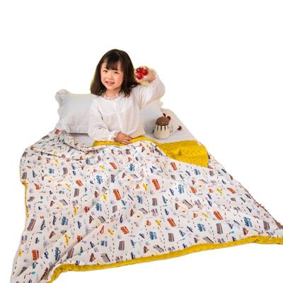 China PORTABLE Hot Sale Cotton Full Season Poly Minky Blanket Comforter Blanket With Zipper 120*150cm For Christmas Festival for sale