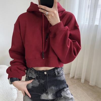 China high quality custom made long sleeve sweatshirts cotton Anti-wrinkle women fashion hoodies simple cropped sweatshirt pullover for sale