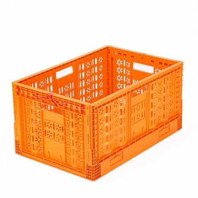 China Foldable Vented Basket Food Grade Plastic Collapsible Crate for Stackable Logistics for sale