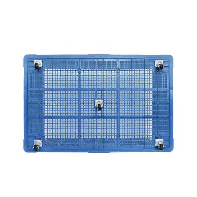 China Foldable Chicken Egg Tray 60 Eggs Plastic Chicken Transport Crate Free Samples Durable for sale