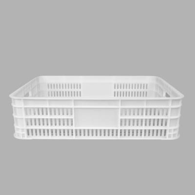 China Collapsible Plastic Container Crate For Storage Euro Standard Eco-Friendly for sale