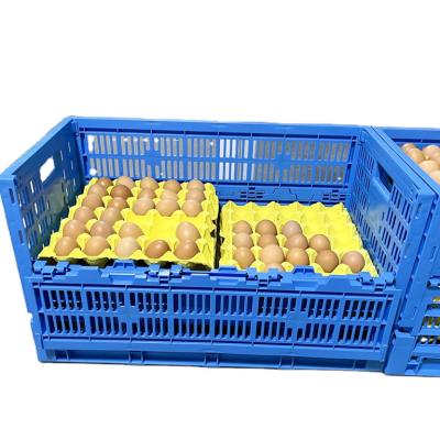 China PE/PP Mesh Style Collapsible Egg Crate Moving Tote Box for Eggs Storage and Transport for sale