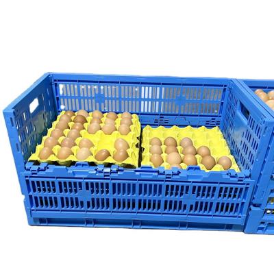 China Foldable PE Plastic Totes Container Heavy Duty Storage Solution with PE Material for sale