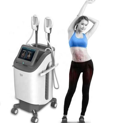 China Portable Weifang Muscle RenaSculpt Machine Tesla Electromagnetic Stimulation 7 Device Weight Loss RenaSculpt Machine For Salon for sale