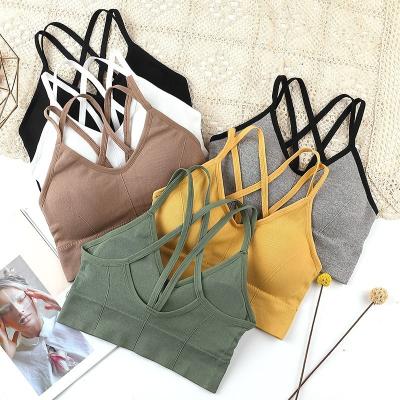 China Breathable Seamless Shockproof Crop Top Fitness Pump Anti-sweat Yoga Top Women Push Up Gym Workout Top Bra for sale