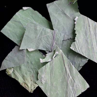 China Tea Drinks Free Samples Tea Lotus Leaf Plates Dried Lotus Leaves for sale