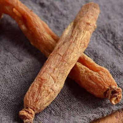 China Free samples are Nutritious Royal Korea Honey Red Ginseng Red Ginseng 6 78 for sale