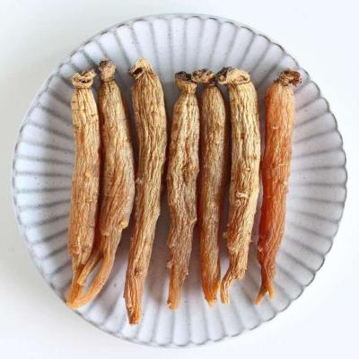 China Free Samples Korean Kirmizi Ginseng Merah Ginseng Price 780 for sale