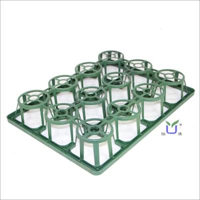 China Durable 12 Cell Orchid Tray Tool Orchid Gardening Flower Pot Carry Plastic Tray Square Hole for sale