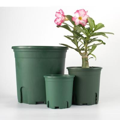 China Durable Bulky Pure Green Gallon Modern Use PP Root Control Material for sale