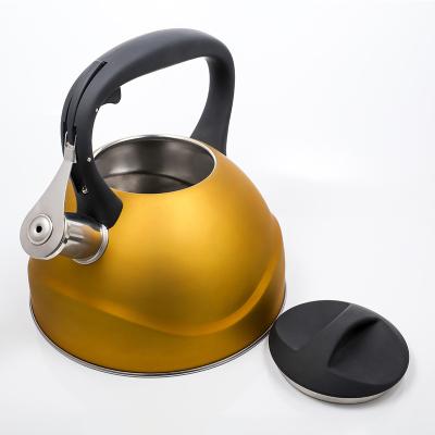 China New Design Sustainable Stainless Steel Whistling Camping Kettle 3l 4l for sale