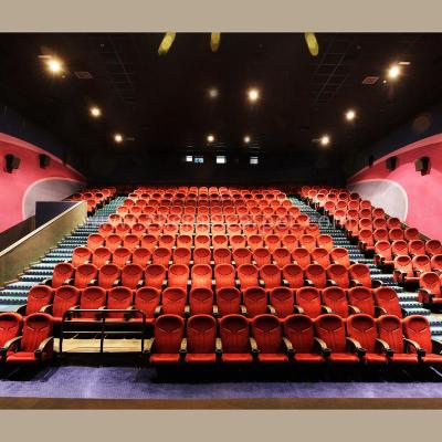 China IMAX 3D Jacquard Printed Cinema Theater Wall To Wall Nylon Carpet for sale