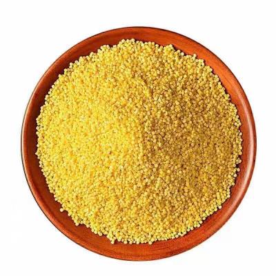 China Dried yellow millet in husk for size bird feeds Nature Chinese Max Style Color MACHINE origin dried product for sale