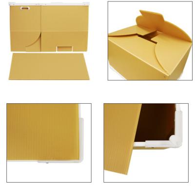 China Folding / Collapsible PP Plastic Corrugated Boxes For Moving / Packing / Storage for sale