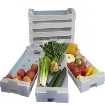 China Anti - Corrosion Collapsible Plastic Moving Boxes Correx Box For Fresh Fruit for sale