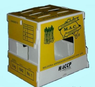 China Cajas plegables de Corflute de la caja de Coroplast del polipropileno para la fruta/la verdura en venta