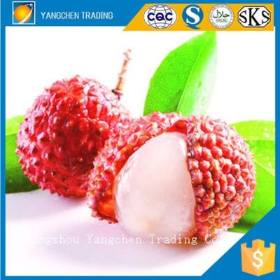 China Canned Bulk Canned Pineapple by Canned Food Price List Canned Lychee Fruit for sale