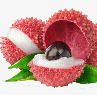 China Canned Food List Canned Lychee Organic Food For Indonesia Food for sale