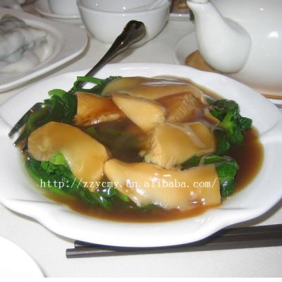 China Canned Abalone Mushroom Canned Export Price for sale