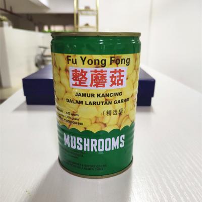 China Chinese canned mushrooms in porcelain can for sale