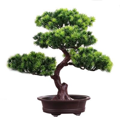 China Pine minimalist artificial greenery simulation indoor and outdoor decoration for sale