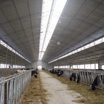 China Steel Fabricated House Cow Shed Farm Building Disgn Steel Structure Designing zu verkaufen