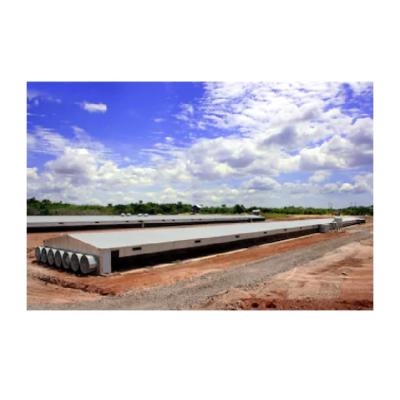 China Steel Fabricated House Steel Structure Farm Broiler Poultry Shed Construction Chicken House Designs for sale