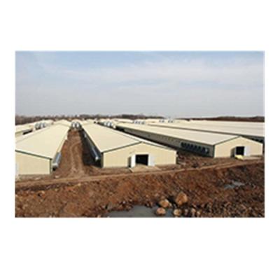 중국 Modern Prefab Steel Fabricated House Low Cost Steel Structure Poultry Egg Chicken Farm Pier Building House 판매용