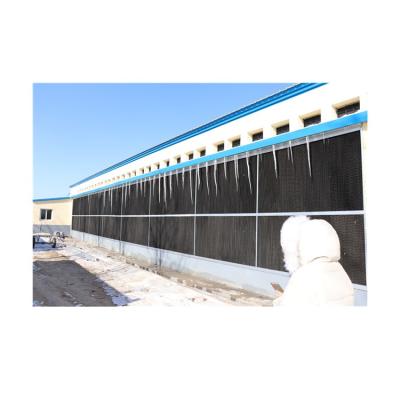 China House Steel Structure Farm Broiler Poultry Shed Construction Design Steel Fabricated Chicken House en venta