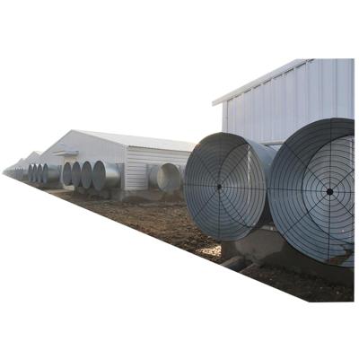 Κίνα Steel Fabricated House Steel Structure Warehouse Prefab Chicken House προς πώληση