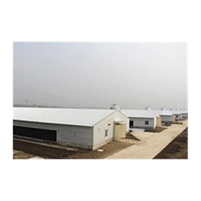 Chine New Steel Fabricated House Design Prefab Steel Structure Poultry Farm Building Shed Chicken Broiler House Design à vendre