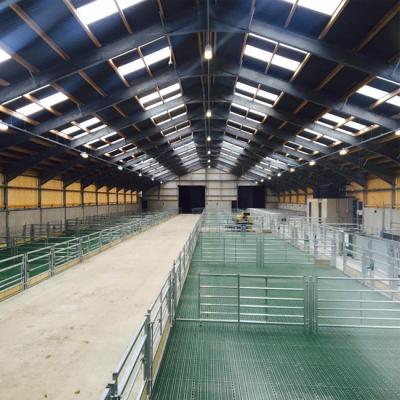 China Steel Fabricated House Prefabricated Steel Structure Cowshed Farmhouse Te koop