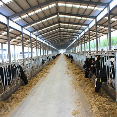 China Steel Fabricated House Cow Farm Shed Small House Cheap Low Price Cost Te koop