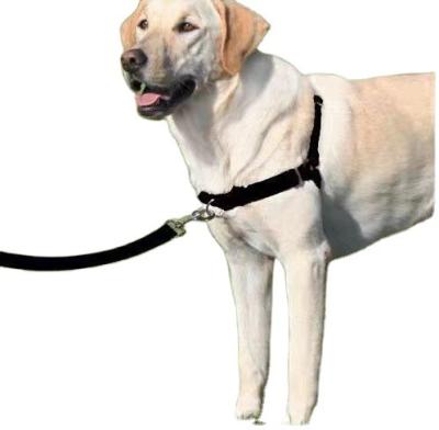 China Reflective Nylon Dog Harness Stocked Padded Adjustable All Weather Vest Chest Strap Safety Lead For Large Medium Small Dogs for sale