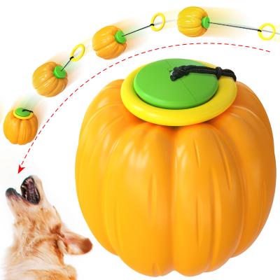 China Hot Selling Models Pumpkin Dogs Throwing Ball For Dogs Teething Interactive Training Pumpkin Hand Toss Toy Ball Pet Supplies for sale