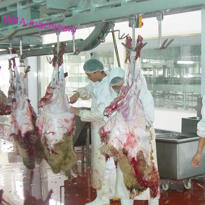 China Customized Slaughter Line Sheep Slaughterhouse Carcass Processing Conveyor For Sheep Slaughtering Line for sale