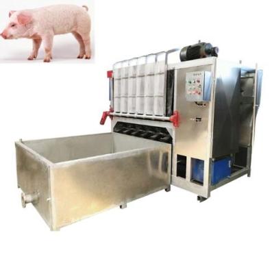 China Automatic High Speed ​​Pig Scalding Tank And Destacking Machine For Pig Slaughtering Slaughterhouse Equipment for sale