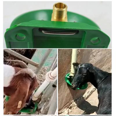 China Low price durable plastic copper valve automatic drinking bowl sheep drinking trough for animal farm for sale