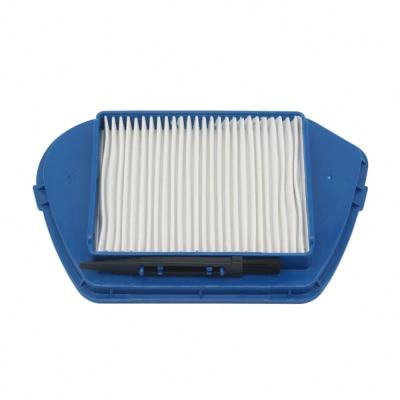 China High Efficiency Hepa Filter For Compacteo Ergo Cyclone-zr005501 Zyklon ZR005501 Replacement For Vacuum Cleaner for sale