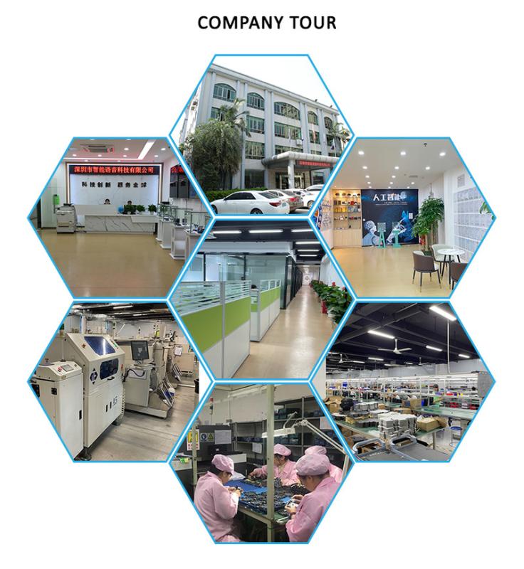 Verified China supplier - Shenzhen Intelligent Voice Technology Co., Ltd.